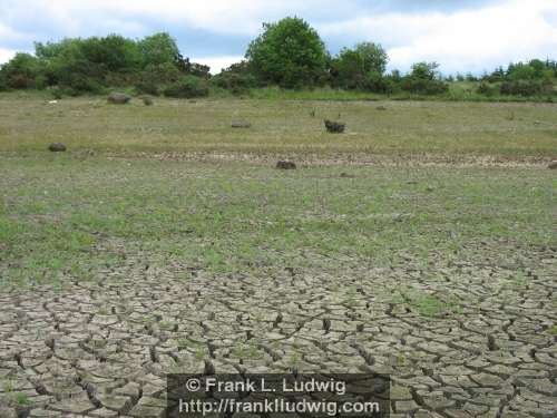 Lough Nasool Drained (2006)